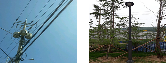 ����������� �̹���